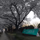 Photos in University of Aizu