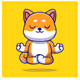 TEENSHIBA V2