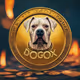 DOGOX999