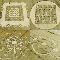 Crop Circle Compilation