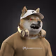 Shiba Work