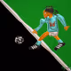 3DPigrasso
