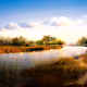 ngtuyen50.lens-Collect-363