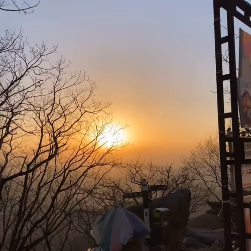 lourve.lens-Collect-667