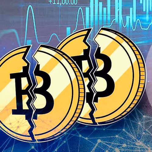 rezanonestop.lens-Collect-328