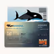 Whales Bank Cards