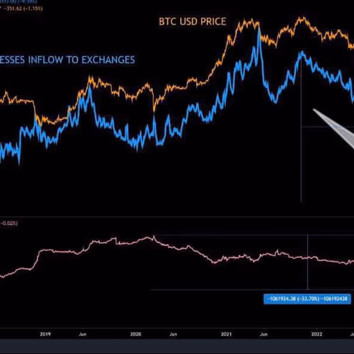 undesputed.lens-Collect-390