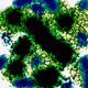 Arbstract Art