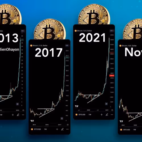 mostafap07.lens-Collect-226