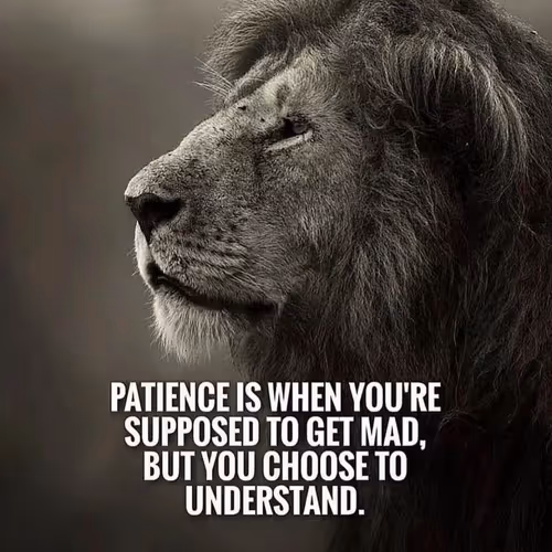 kingjunaid12.lens-Collect-2236