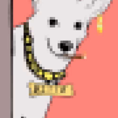 BITTU PUNK 1