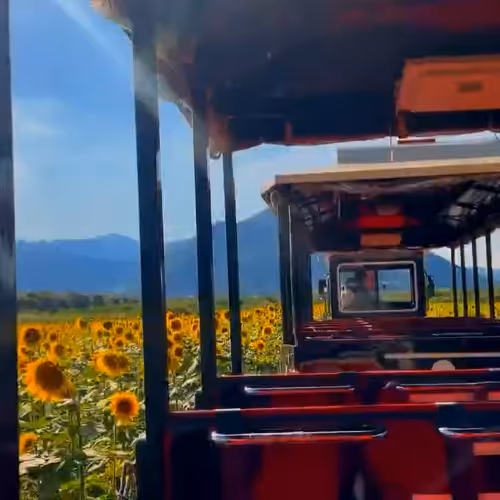 Lens Collect | Profile #43807 - Publication #706