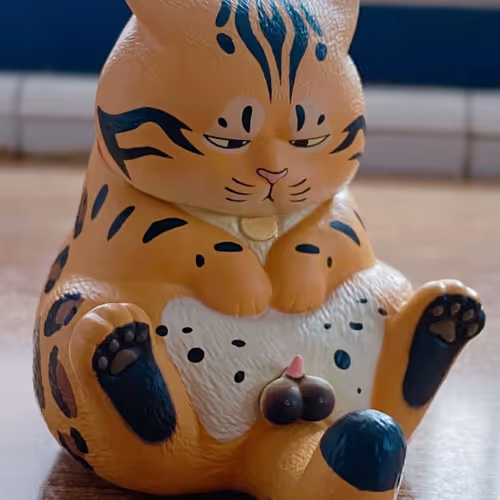 polymer.lens-Collect-2518