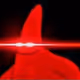 patriccccc