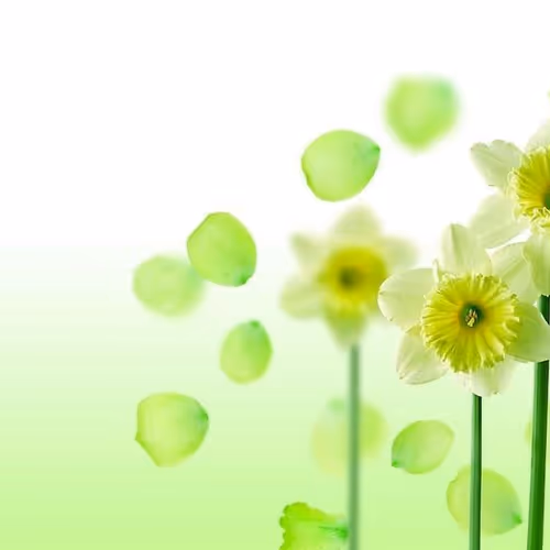 fightinger.lens-Collect-34