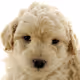 Yugg's Avatar