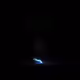 11779.lens-Collect-26