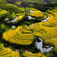 66577.lens-Collect-144