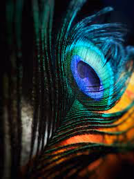 0xc1a9e8db24156aef42ae36c968ca5e4e2849cab0