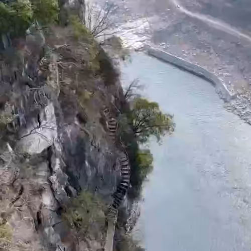 indus.lens-Collect-817