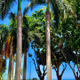 realsalv_o.lens-Collect-69