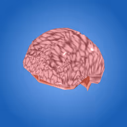 MrHamms Big Brain Collection