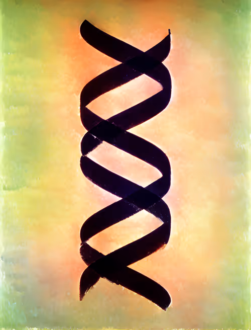 Item #113239658959125787453127757717144065342140224799802471647994835132659408044045 Media