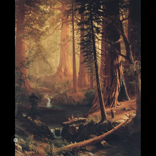 Item #106282055932284421305851909092873061235365908855287448488472902084751838412812 Media