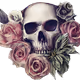CoolSkull