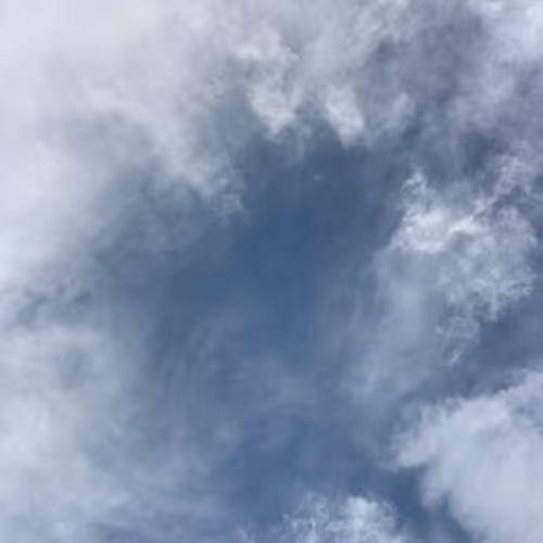 SKY.NET