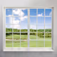 window
