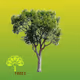SaveTrees V2