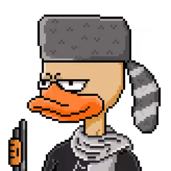 DUCK P