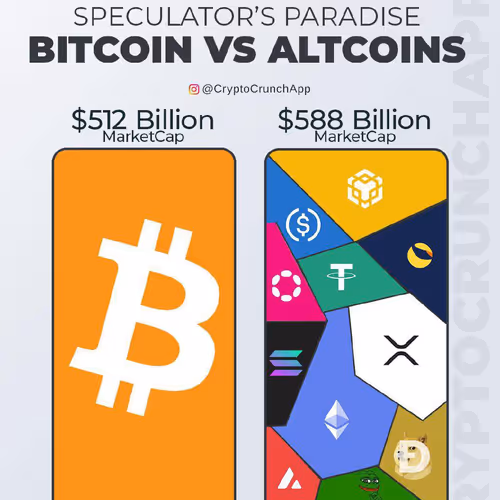 kingjunaid12.lens-Collect-2360