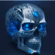 SKULLZ