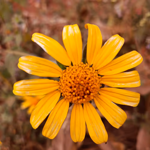 Collection by taps5765