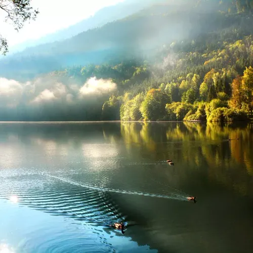 oooo3.lens-Collect-707