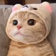 chai2518