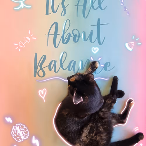 definn.lens-Collect-420