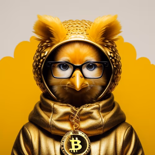 Bitcoin Chick
