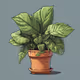 Adopt a Houseplant