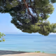 By the sea
