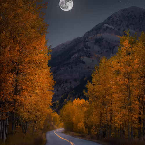 xiaocai45980701.lens-Collect-496