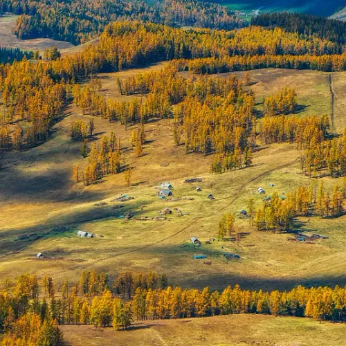 oooo3.lens-Collect-961