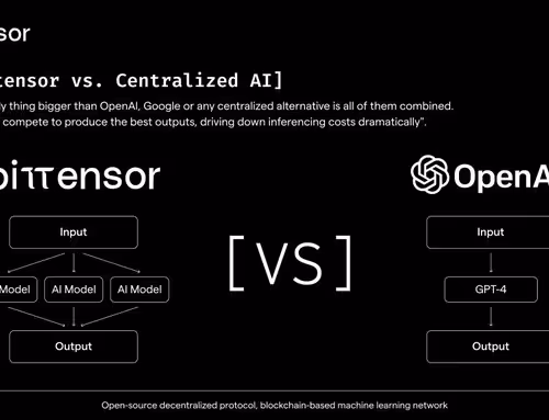 adani.lens-Collect-1062
