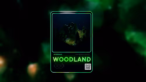 Item #11300665 Media