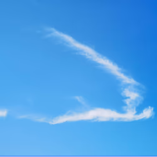 contend.lens-Collect-28