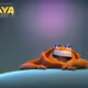 CGI Collection