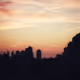 visualartist.lens-Collect-50