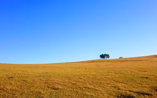 vanem9475.lens-Collect-1096